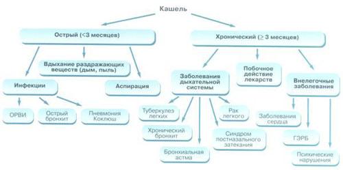 Как долго лечится бронхит