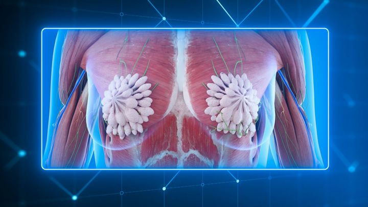 Мясников объяснил, почему может появиться боль в молочной железе