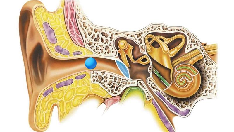 Что вызывает ощущение что в ухе что-то шевелится