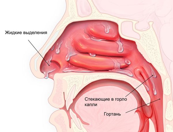 Инструкция по применению Псевдоэфедрина