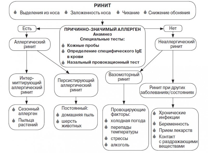 Пути лечения ринита