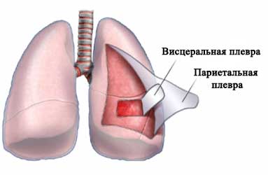 Причины и симптомы болезней легких у человека