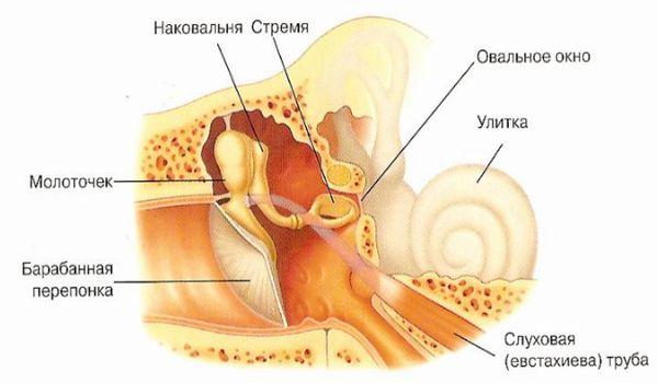 Как понять по симптомам, что у грудничка болит ухо