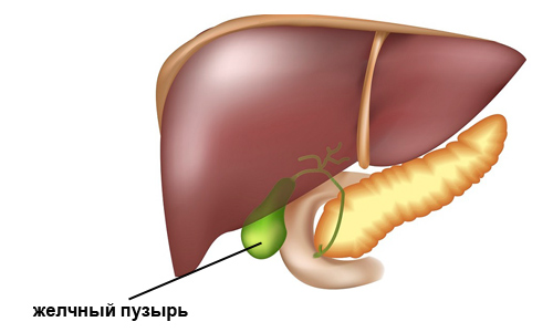 Свойства мать-и-мачехи