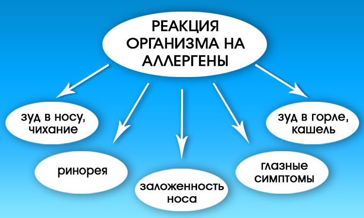 Как убрать свербение в носу народными методами