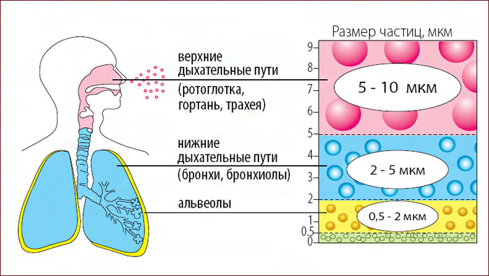 Ребенок кашляет больше месяца, ничего не помогает