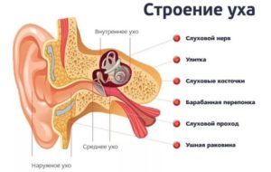 Заложило ухо после простуды что же делать