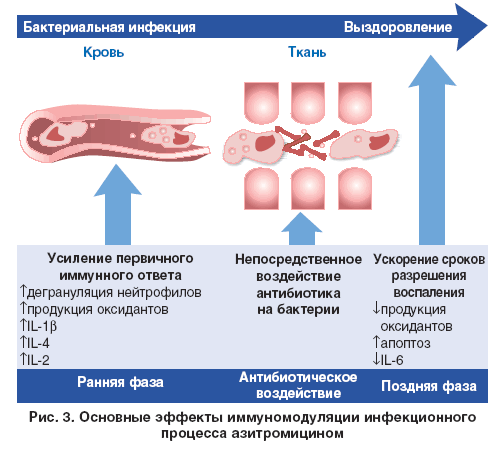 Эффекты терапии Азитромицином