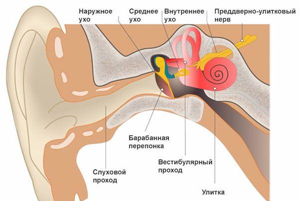 Симптомы воспаления внутреннего уха