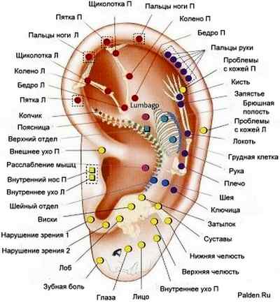 Похудение при помощи акупунктуры