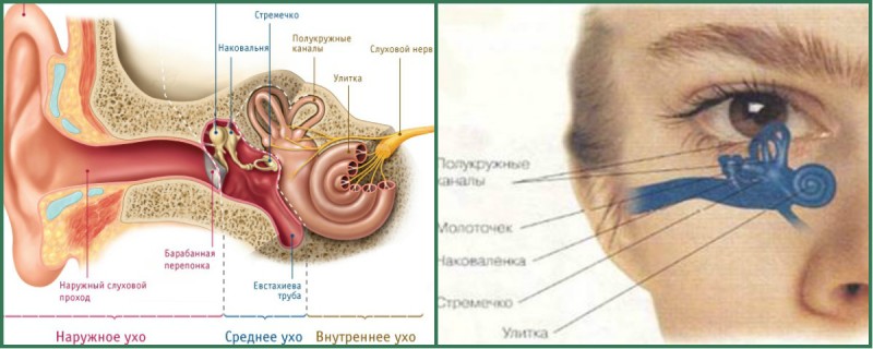 Заболевания ушей человека