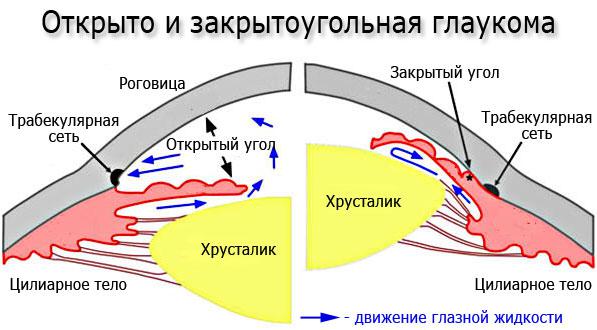 Аналоги Назол Адванс