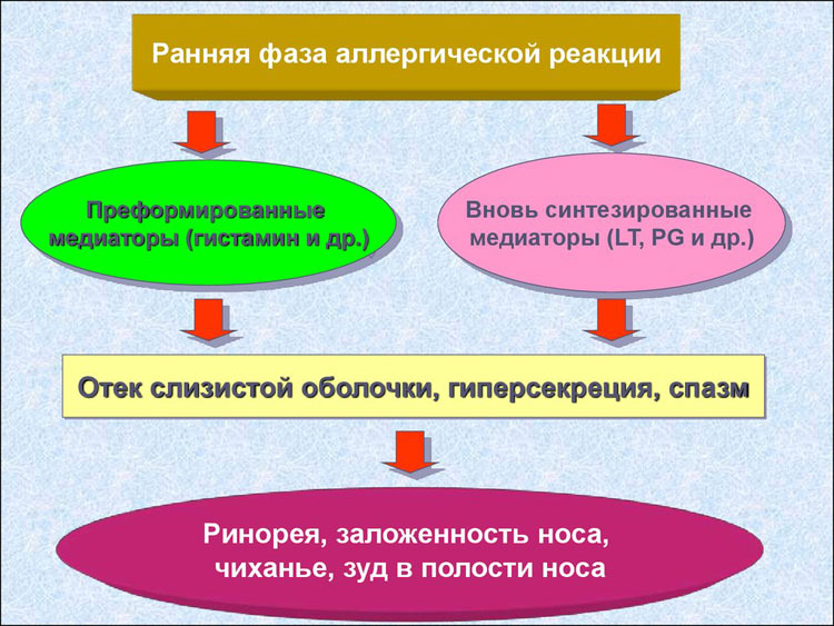 Аллергический ринит симптомы и лечение у взрослых