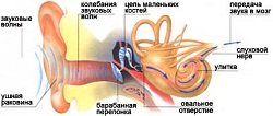 Симптомы воспаления внутреннего уха