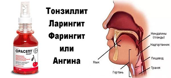 Орасепт для детей инструкция по применению