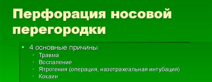 Перфорация носовой перегородки как обнаружить проблему и избавиться от нее