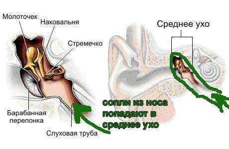 Как понять по симптомам, что у грудничка болит ухо